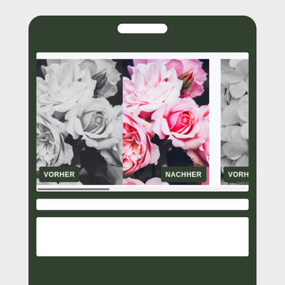 Vorher/Nacher Slider