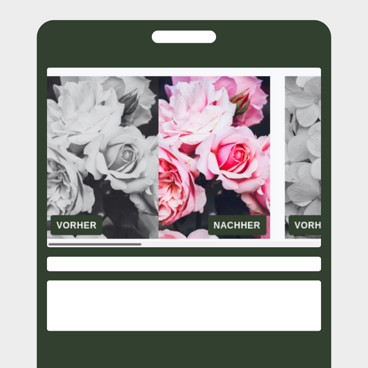 Vorher/Nacher Slider
